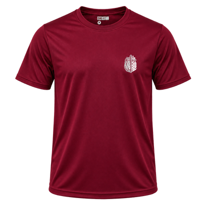 Camiseta Dryfit Masculina Basic - Leão de Judá